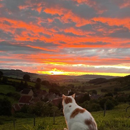 La Petite Maison Dans La Campagne Massingy-les-Vitteaux Luaran gambar