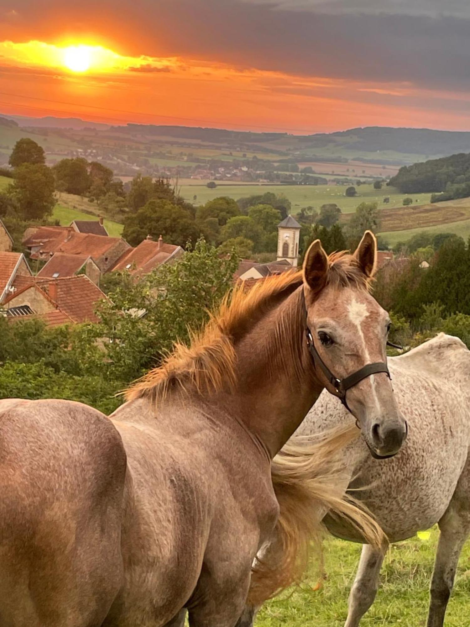 La Petite Maison Dans La Campagne Massingy-les-Vitteaux Luaran gambar