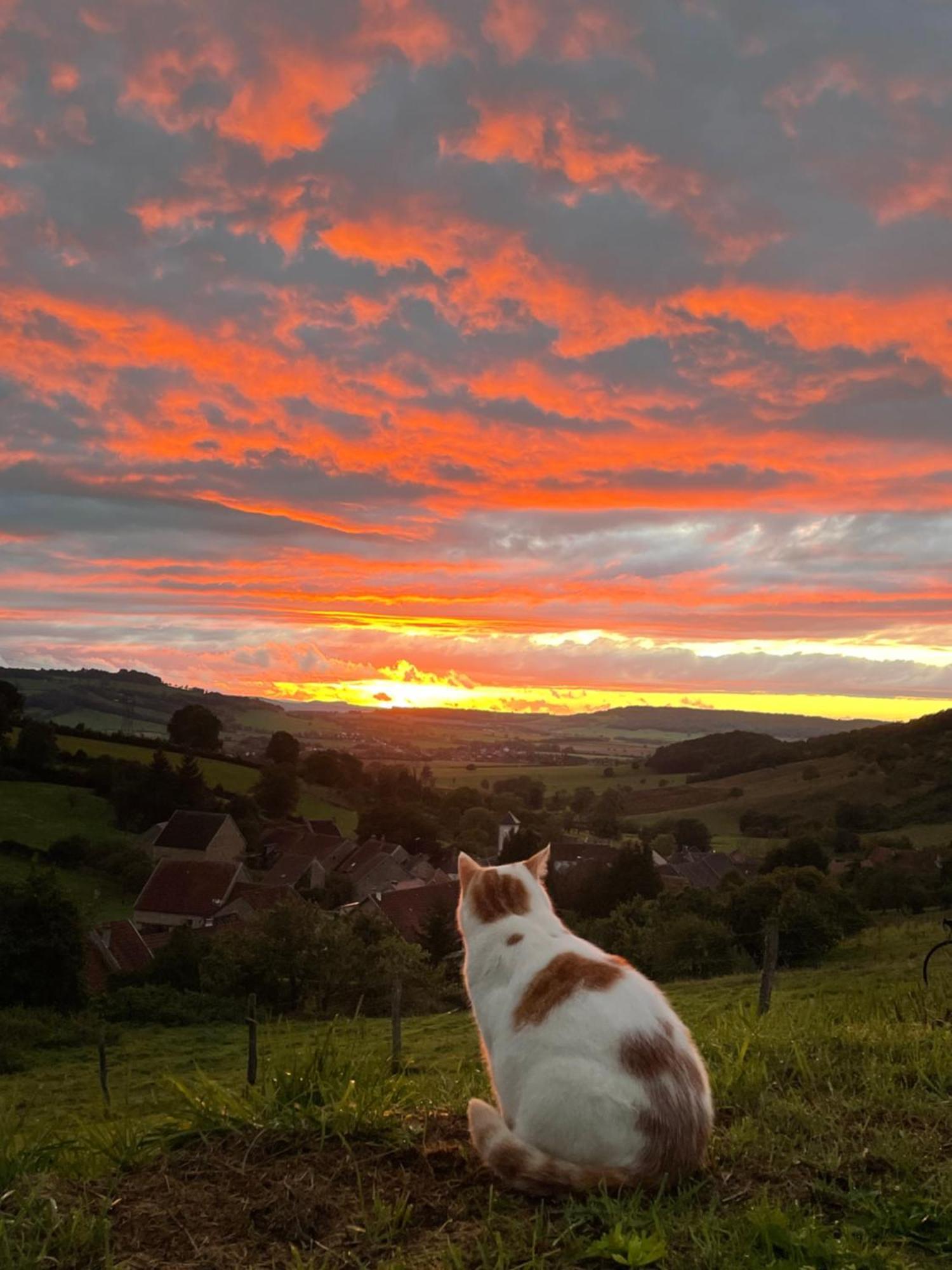 La Petite Maison Dans La Campagne Massingy-les-Vitteaux Luaran gambar