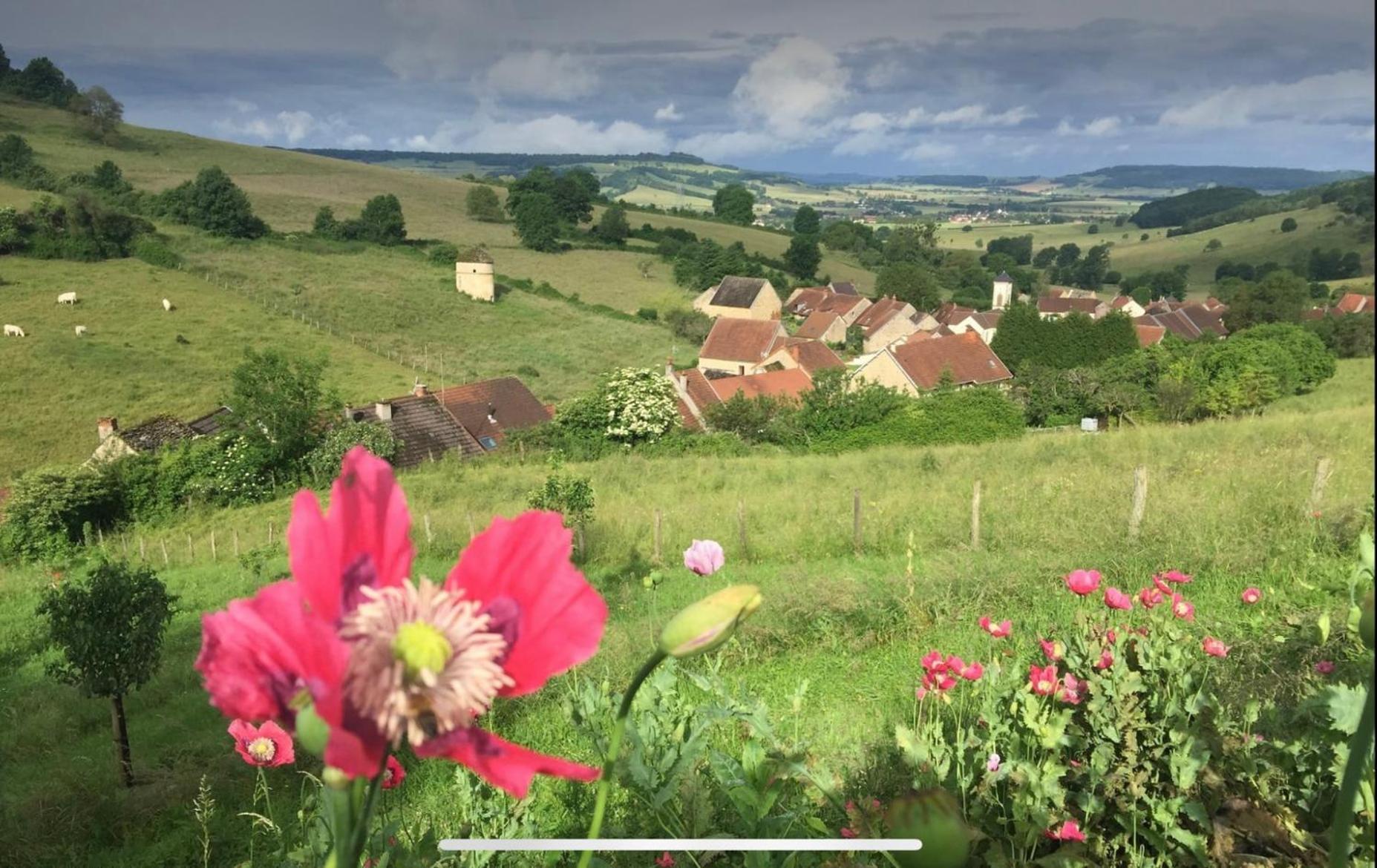 La Petite Maison Dans La Campagne Massingy-les-Vitteaux Luaran gambar